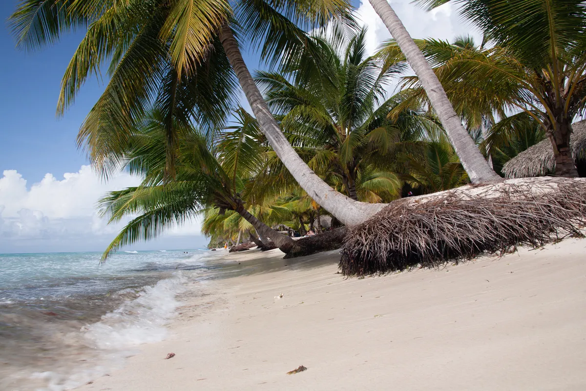 Tobago – Kis Tobago-sziget