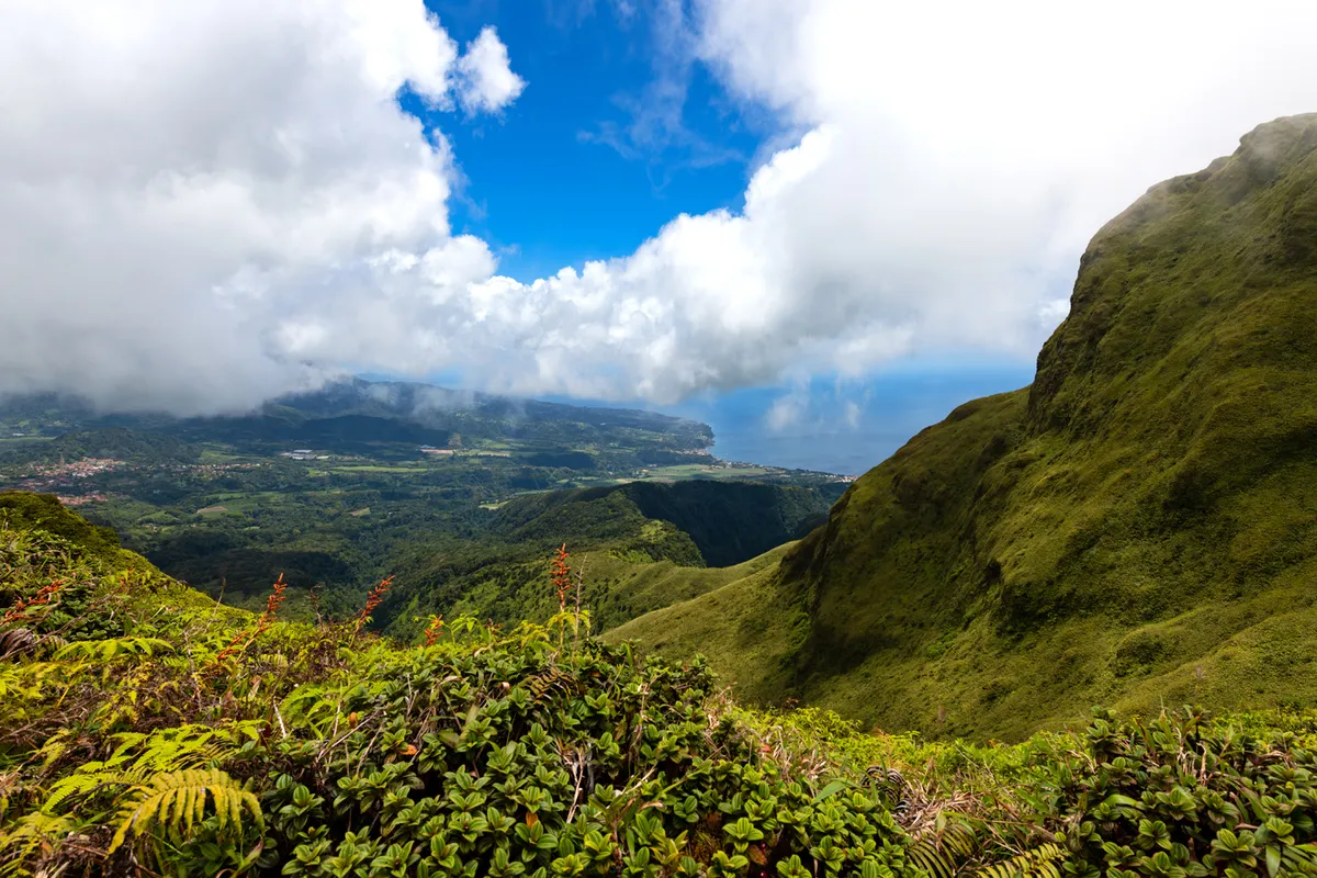 Saint Vincent és a Grenadine-szigetek – Kingstown – La Soufrière-vulkán túra (1220 m)