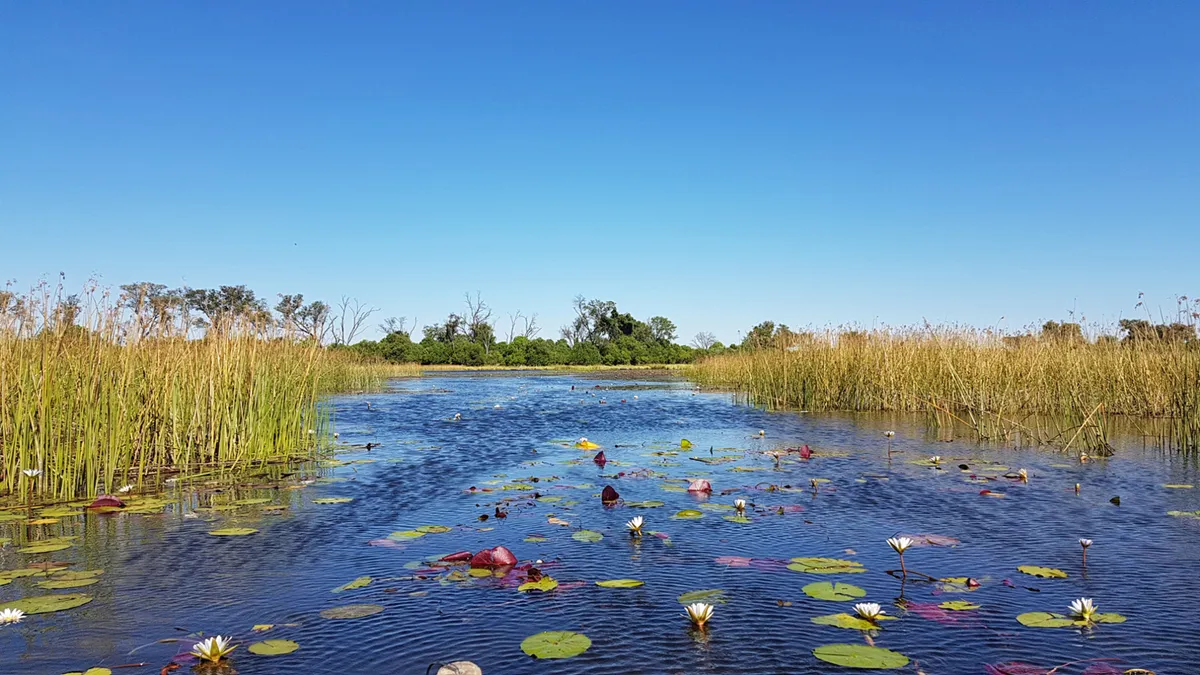 Okavango-delta – mokoro kenus kirándulás és vadles