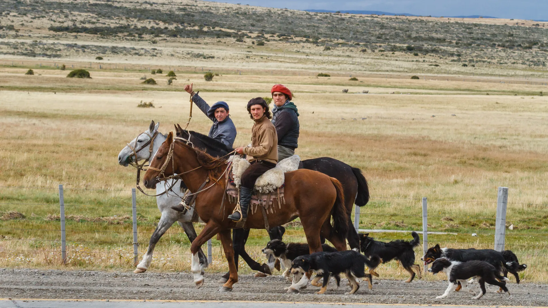 Patagónia kalandtúra gyorstalpaló – A maté 