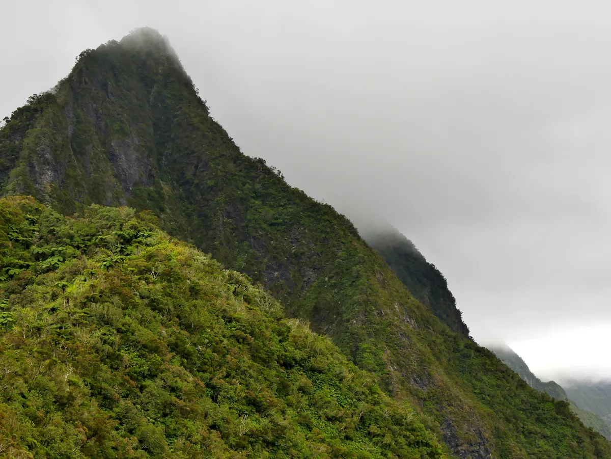 Réunion Nemzeti Park – Mafate-kaldera gyalogtúra: Marla - Col des Boeufs – Saint-Gilles