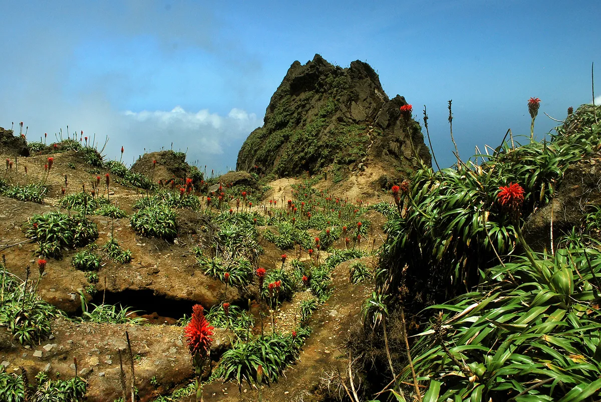 Guadeloupe – La Grande Soufriére-vulkán túra (1467 m) – Basse-Terre